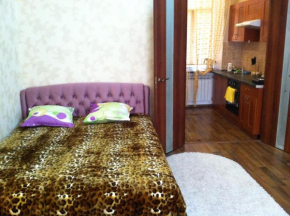 Modern 1-bedroom in center of Odessa at Richelevskaya & Derebasovska